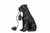 Pöytälamppu - koira musta