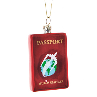 Lasikoriste - passi